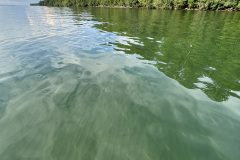 image00033